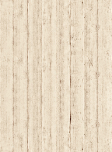 Web漏洞扫描工具