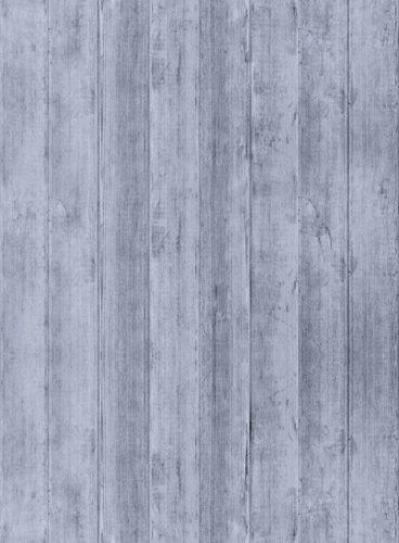 Web漏洞扫描工具