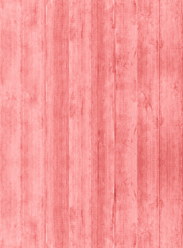 Web漏洞扫描工具